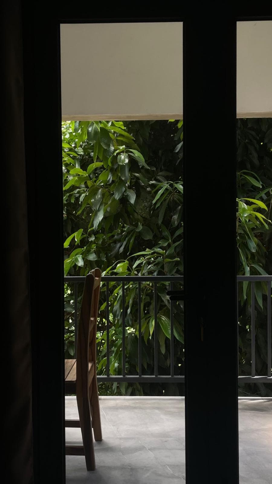 Looking through an open doorway onto a balcony backed by dense green foliage.