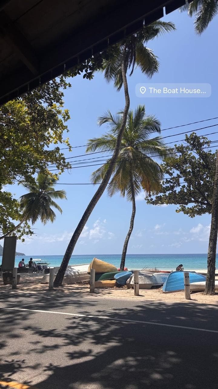 Palms and small upturned boats along the shoreline, the open ocean bright beyond.