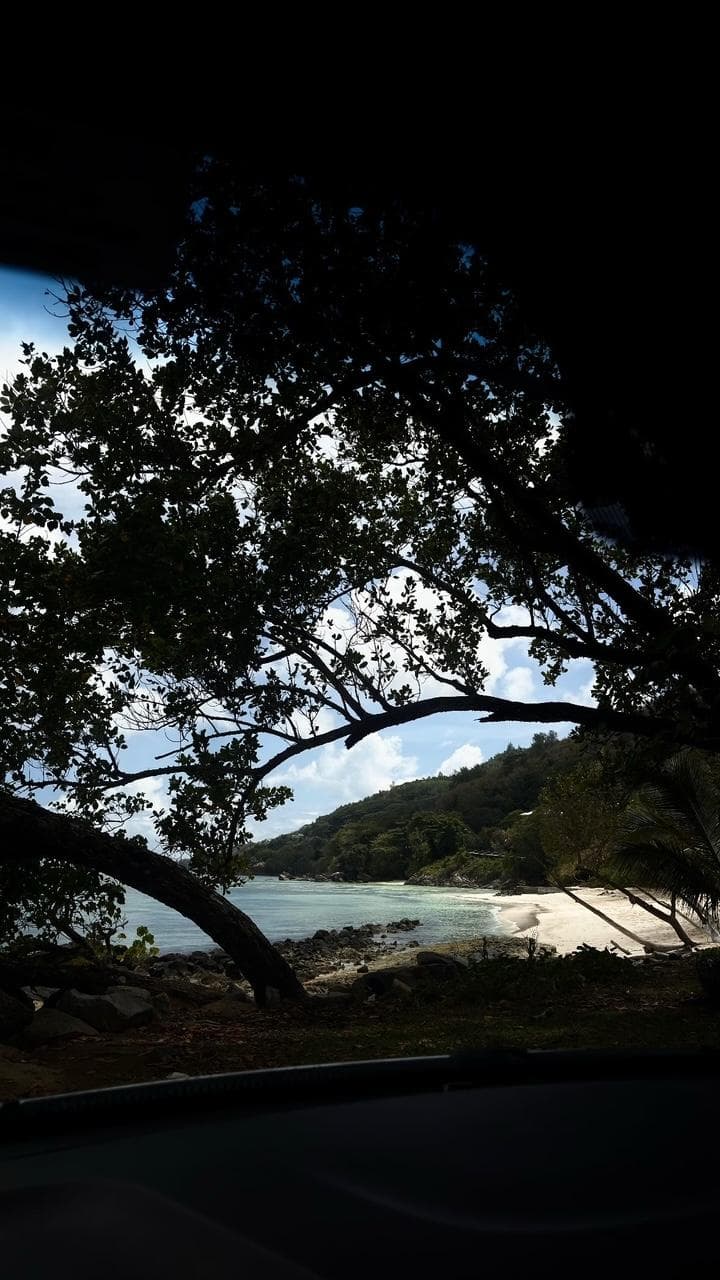 A sheltered cove framed by dark overhanging branches, pale sand curving away beneath green hills.