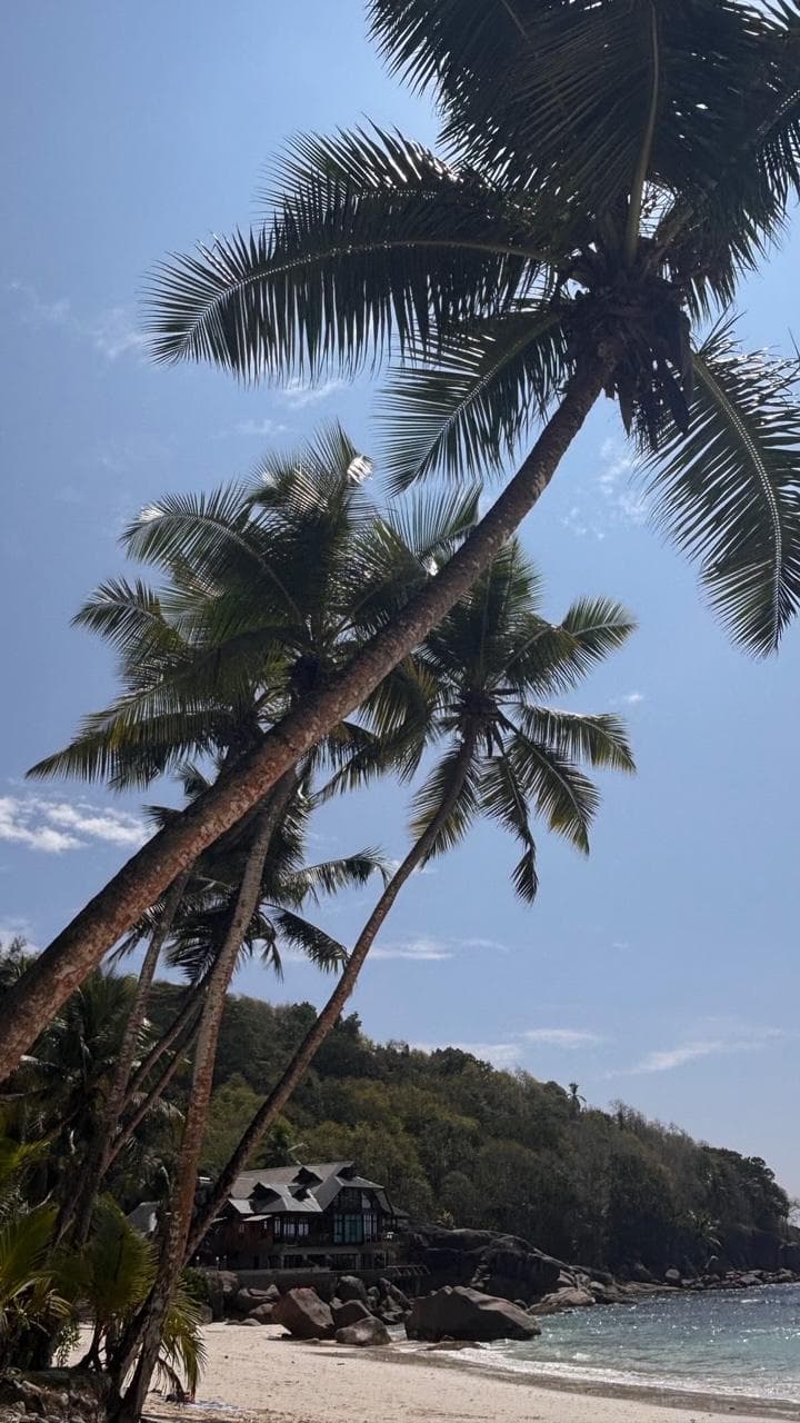 Coconut palms leaning steeply over a beach of granite boulders and pale sand.